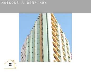 Maisons à Binzikon