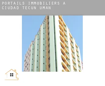 Portails immobiliers à  Ciudad Tecún Umán