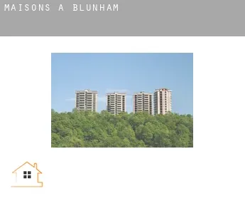 Maisons à  Blunham