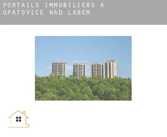 Portails immobiliers à  Opatovice nad Labem