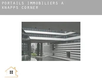 Portails immobiliers à  Knapps Corner