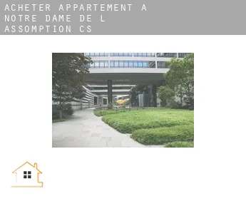 Acheter appartement à  Notre-Dame-de-l'Assomption (census area)