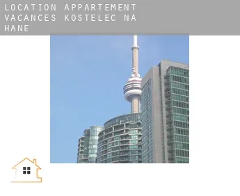 Location appartement vacances  Kostelec na Hané