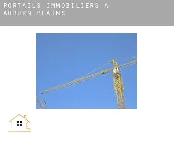 Portails immobiliers à  Auburn Plains