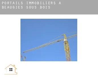 Portails immobiliers à  Beaugies-sous-Bois