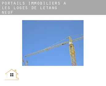 Portails immobiliers à  Les Loges de l'Etang Neuf