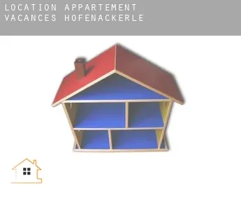 Location appartement vacances  Höfenackerle