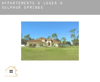 Appartements à louer à  Sulphur Springs
