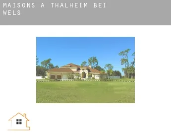 Maisons à  Thalheim bei Wels