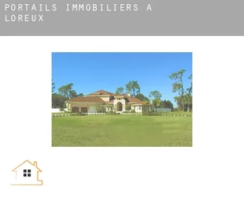 Portails immobiliers à  Loreux