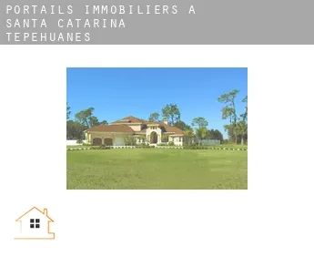 Portails immobiliers à  Santa Catarina de Tepehuanes