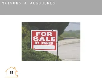 Maisons à  Algodones