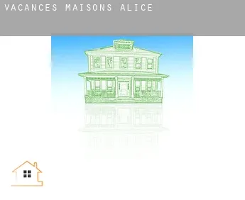 Vacances maisons  Alice