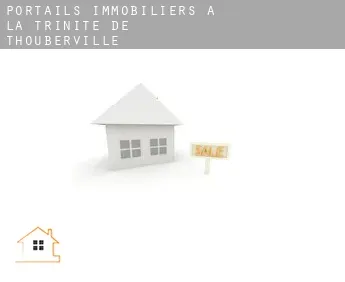 Portails immobiliers à  La Trinité-de-Thouberville