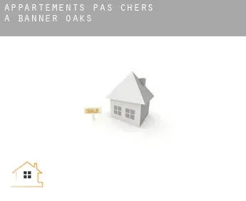 Appartements pas chers à  Banner Oaks