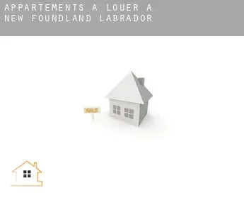 Appartements à louer à  Terre-Neuve-et-Labrador