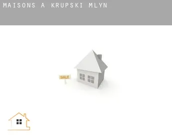 Maisons à  Krupski Młyn