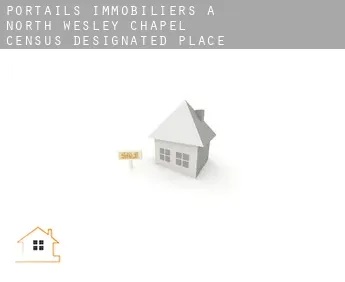 Portails immobiliers à  North Wesley Chapel