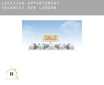 Location appartement vacances  New London