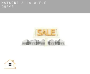 Maisons à  La Queue-d'Haye