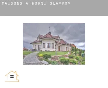 Maisons à  Horní Slavkov