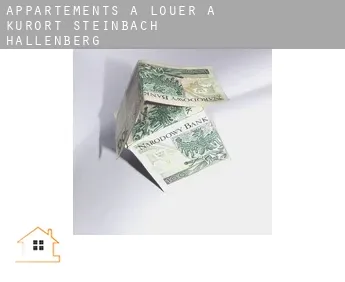 Appartements à louer à  Kurort Steinbach-Hallenberg