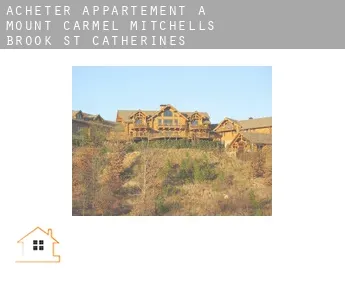 Acheter appartement à  Mount Carmel-Mitchells Brook-St. Catherines