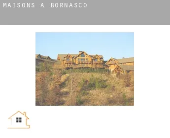 Maisons à  Bornasco