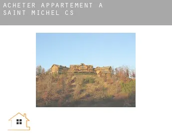 Acheter appartement à  Saint-Michel (census area)