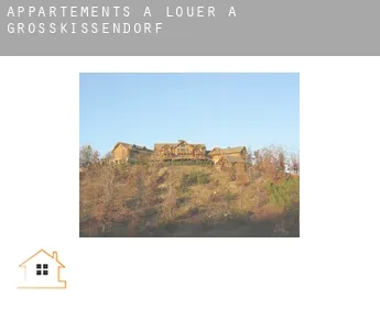 Appartements à louer à  Grosskissendorf