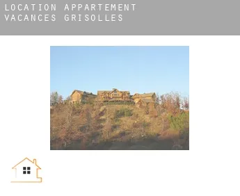 Location appartement vacances  Grisolles