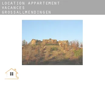 Location appartement vacances  Grossallmendingen