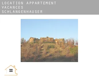 Location appartement vacances  Schlangenhäuser