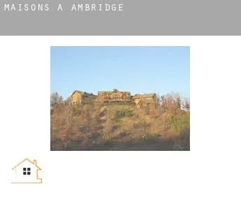 Maisons à  Ambridge