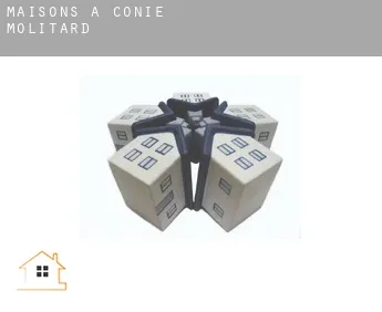 Maisons à  Conie-Molitard