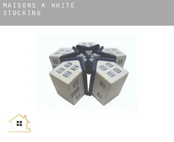 Maisons à  White Stocking