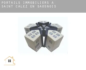 Portails immobiliers à  Saint-Calez-en-Saosnois
