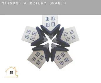 Maisons à  Briery Branch