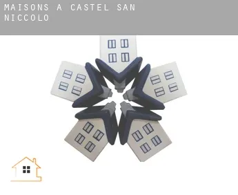 Maisons à  Castel San Niccolò