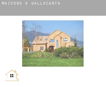 Maisons à  Gallocanta