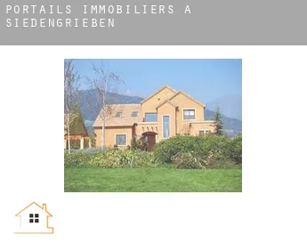 Portails immobiliers à  Siedengrieben
