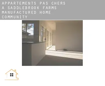 Appartements pas chers à  Saddlebrook Farms Manufactured Home Community