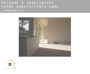 Maisons à  Saddlebrook Farms Manufactured Home Community