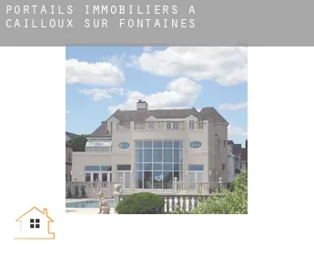 Portails immobiliers à  Cailloux-sur-Fontaines