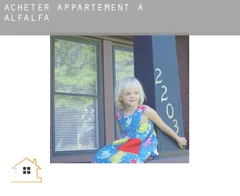 Acheter appartement à  Alfalfa