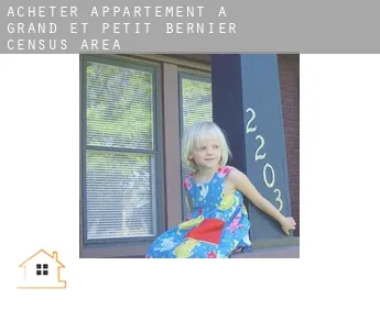 Acheter appartement à  Grand-et-Petit-Bernier (census area)