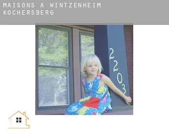 Maisons à  Wintzenheim-Kochersberg