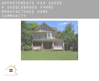 Appartements pas chers à  Saddlebrook Farms Manufactured Home Community