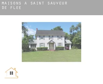 Maisons à  Saint-Sauveur-de-Flée