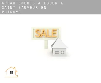 Appartements à louer à  Saint-Sauveur-en-Puisaye